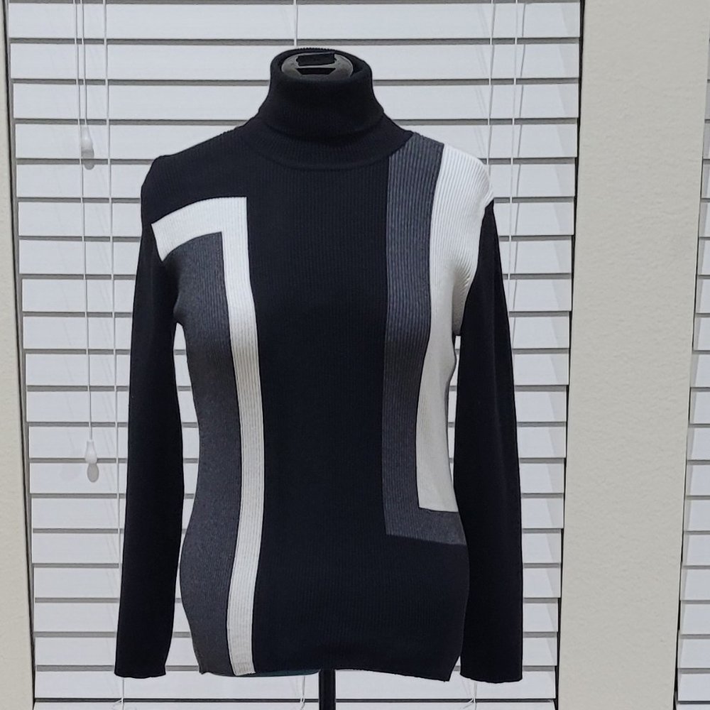 Style & Co. Turtleneck Sweater